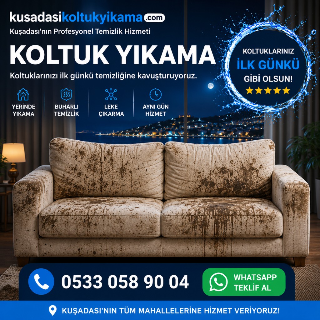 Araç Koltuğu Yıkama